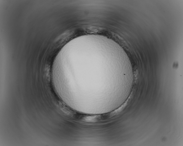 X0000094430178200712061122