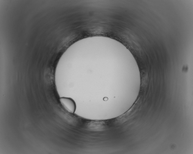 X0000094430179200712061122