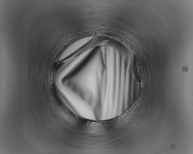 X0000094430180200712061122