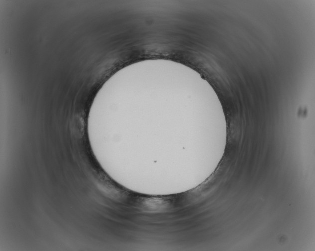 X0000094430183200712061122