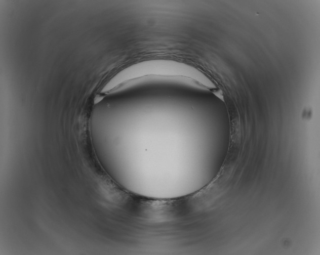 X0000094430184200712061122