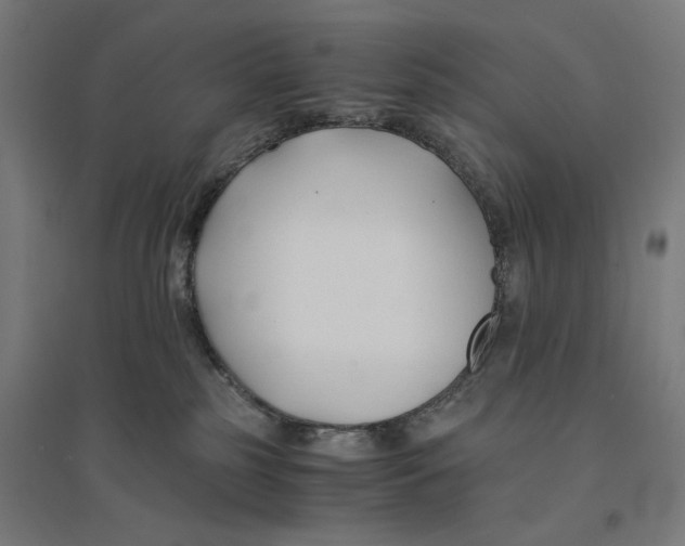 X0000094430185200712061122