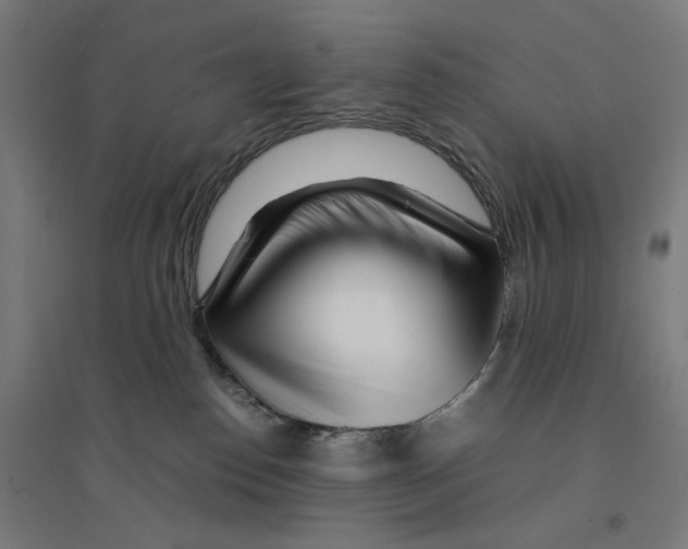 X0000094430186200712061122