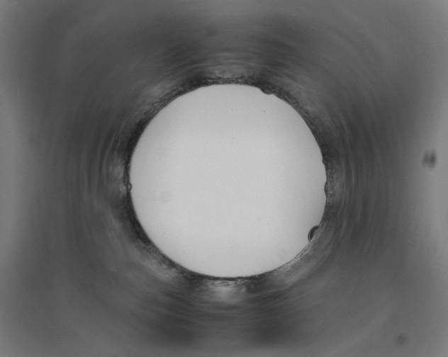 X0000094430187200712061122