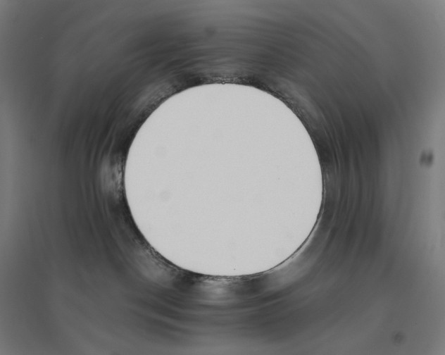 X0000094430190200712061122