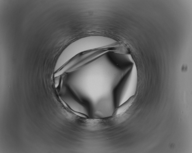 X0000094430192200712061122