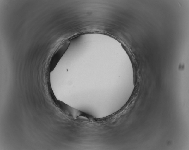 X0000094430193200712061121