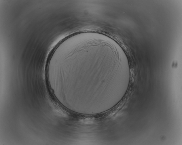 X0000094430196200712061121