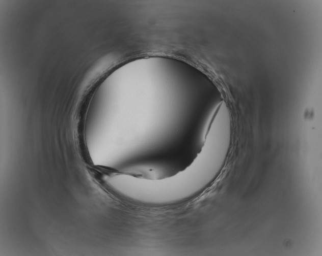 X0000094430197200712061121