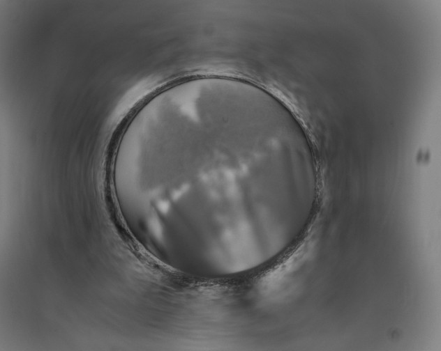 X0000094430199200712061121