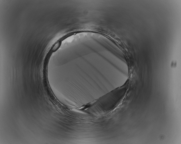 X0000094430200200712061121