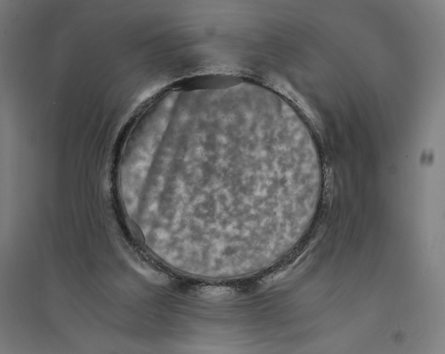 X0000094430203200712061121