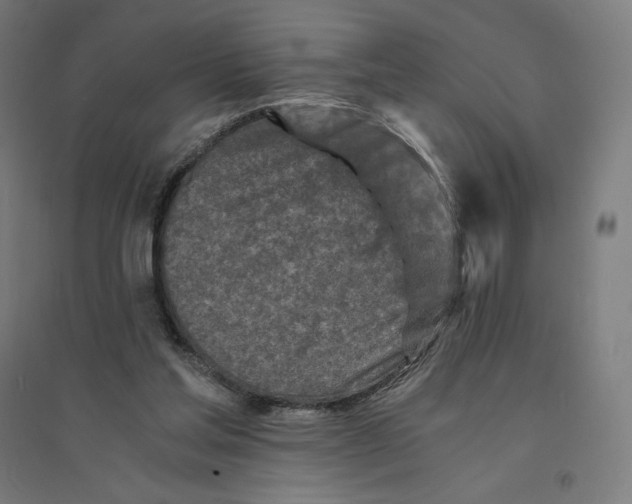 X0000094430205200712061121