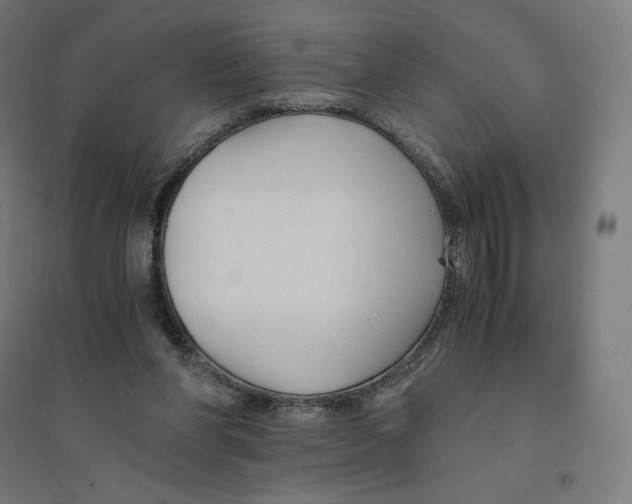 X0000094430206200712061121