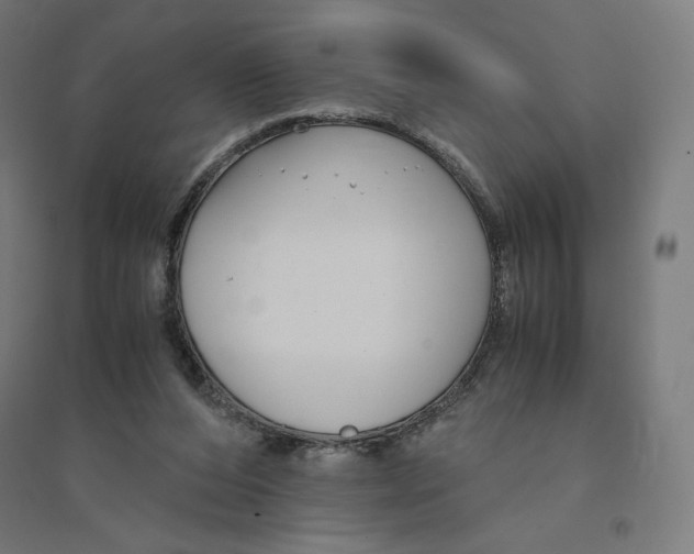 X0000094430208200712061121