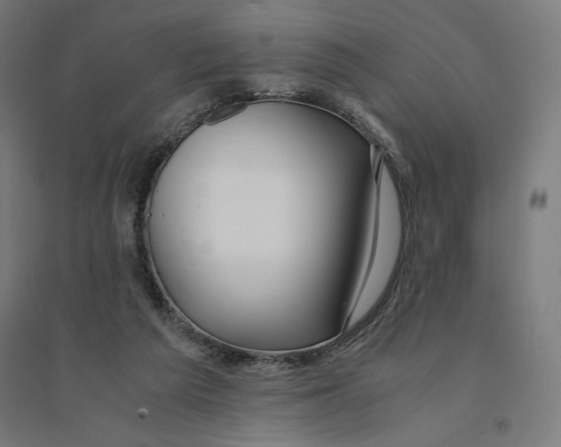 X0000094430209200712061121