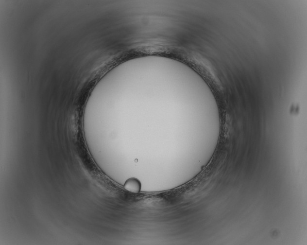 X0000094430210200712061121