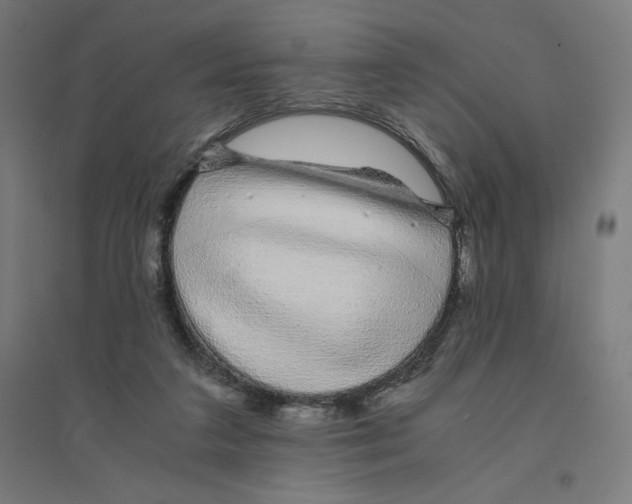 X0000094430211200712061121