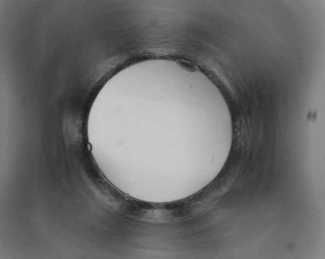 X0000094430212200712061121