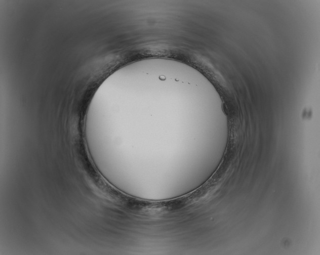 X0000094430213200712061121