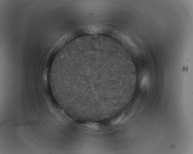 X0000094430214200712061121