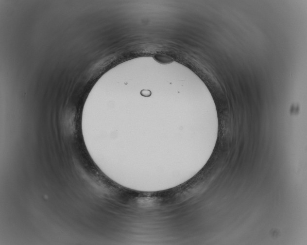 X0000094430216200712061121