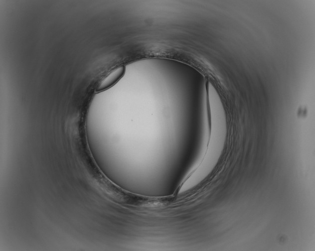 X0000094430217200712061121