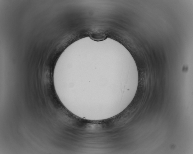 X0000094430220200712061121