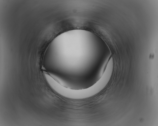 X0000094430221200712061121