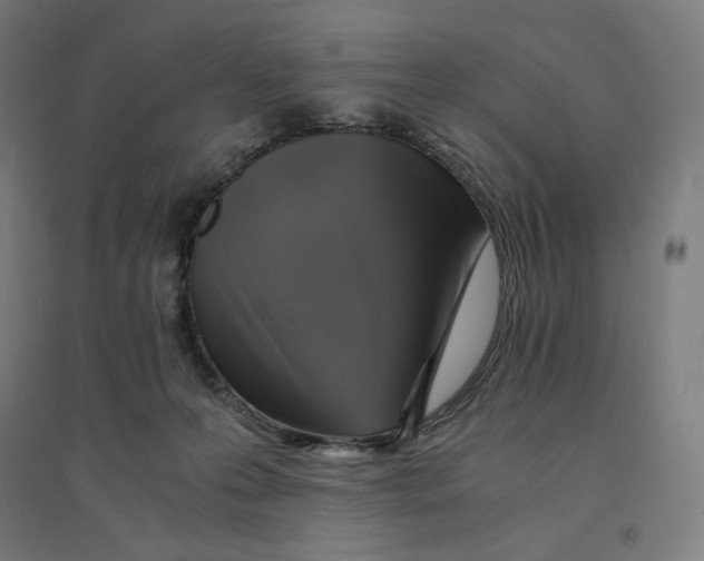 X0000094430223200712061121