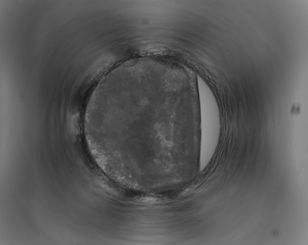 X0000094430224200712061121