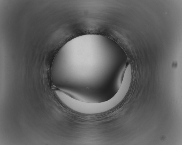 X0000094430225200712061121