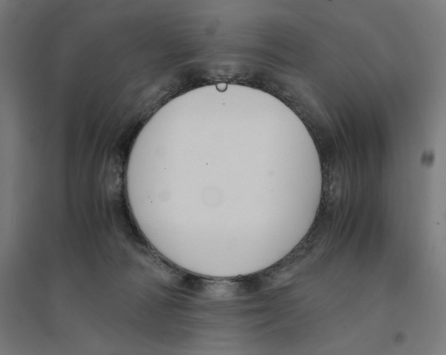 X0000094430226200712061121