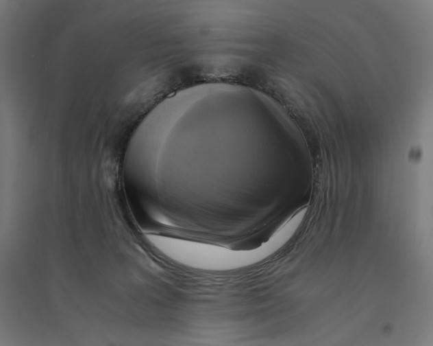 X0000094430227200712061121