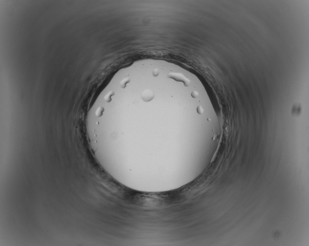 X0000094430229200712061121