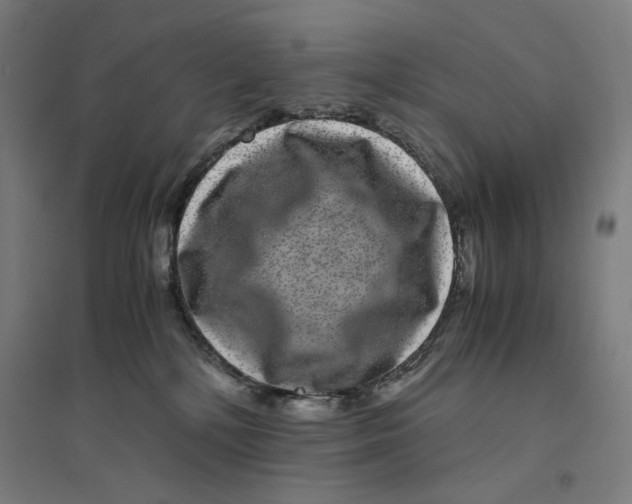 X0000094430232200712061121