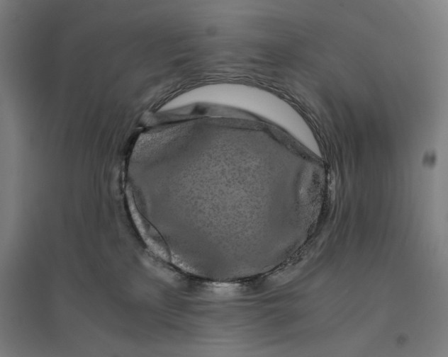 X0000094430233200712061121