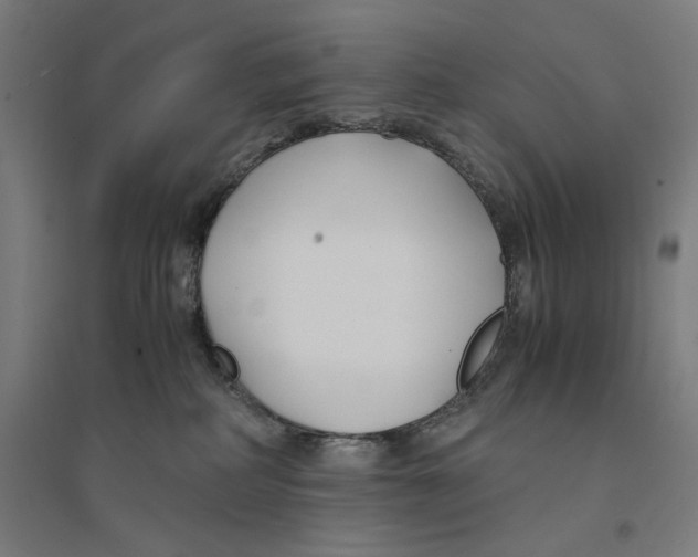 X0000094430234200712061121