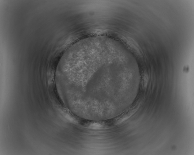 X0000094430236200712061121