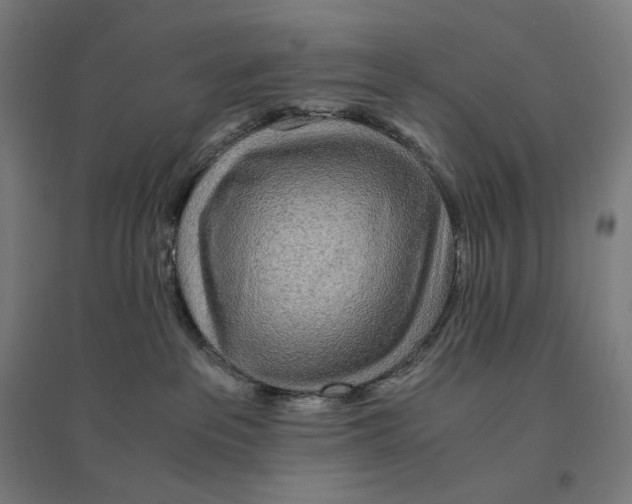 X0000094430237200712061121