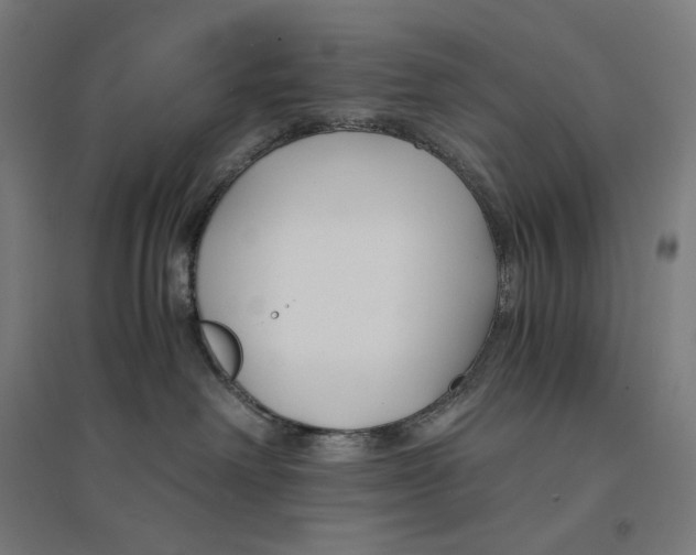 X0000094430238200712061121