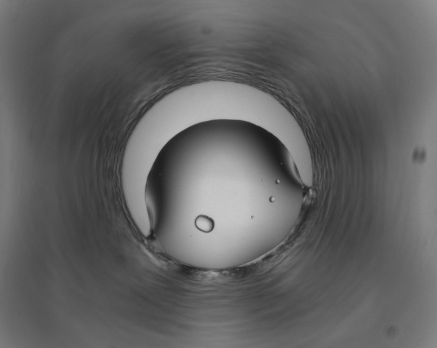 X0000094430239200712061121