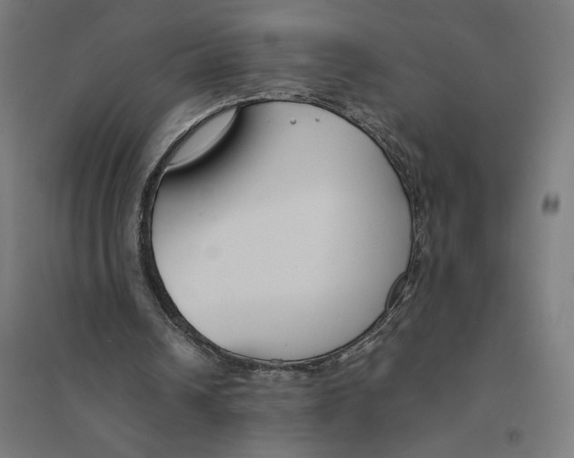 X0000094430242200712061120