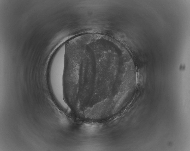 X0000094430243200712061120