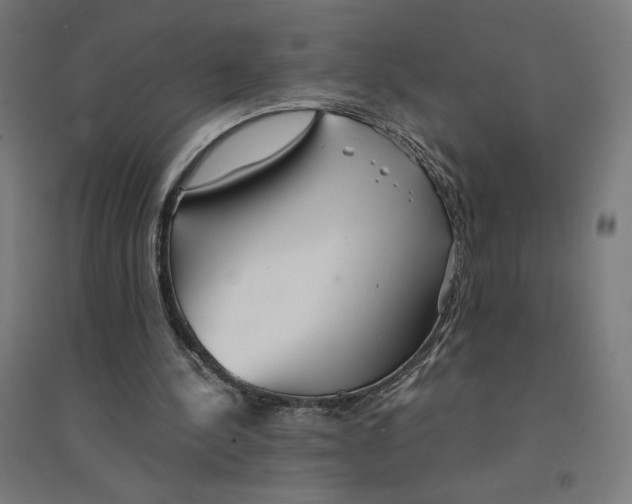 X0000094430244200712061120