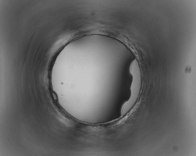 X0000094430245200712061120