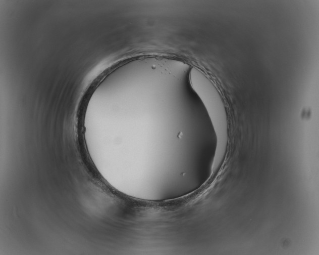 X0000094430246200712061120