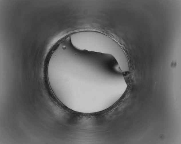 X0000094430248200712061120