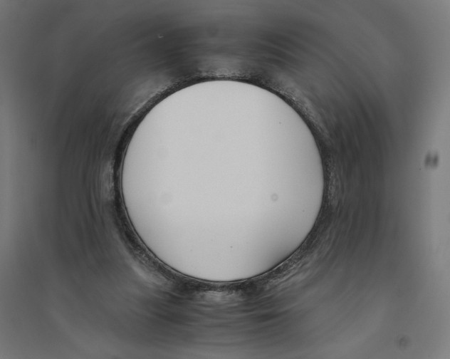 X0000094430251200712061120