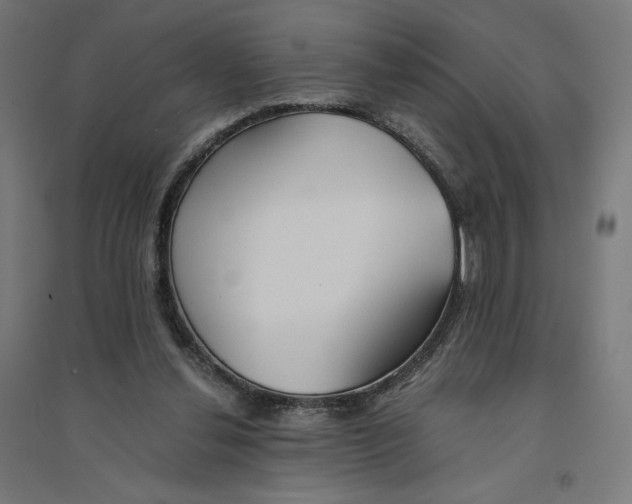 X0000094430252200712061120